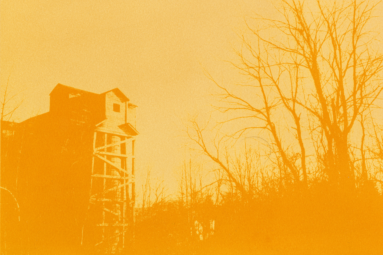 Anthotype - Creative B&W Darkroom & Alternative Processes © Daniel Goudrouffe